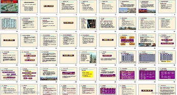 长沙圣悦嘉园房地产项目营销实操策划案